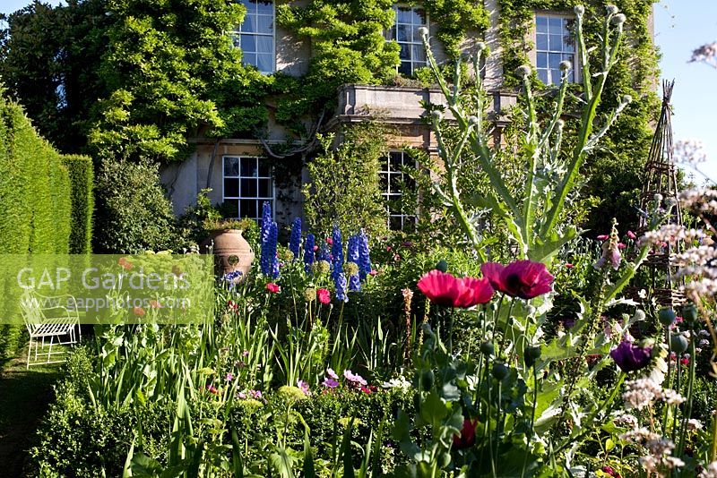 The Sundial Garden and Highgrove House with Papaver somniferum - Poppies, June 2011.