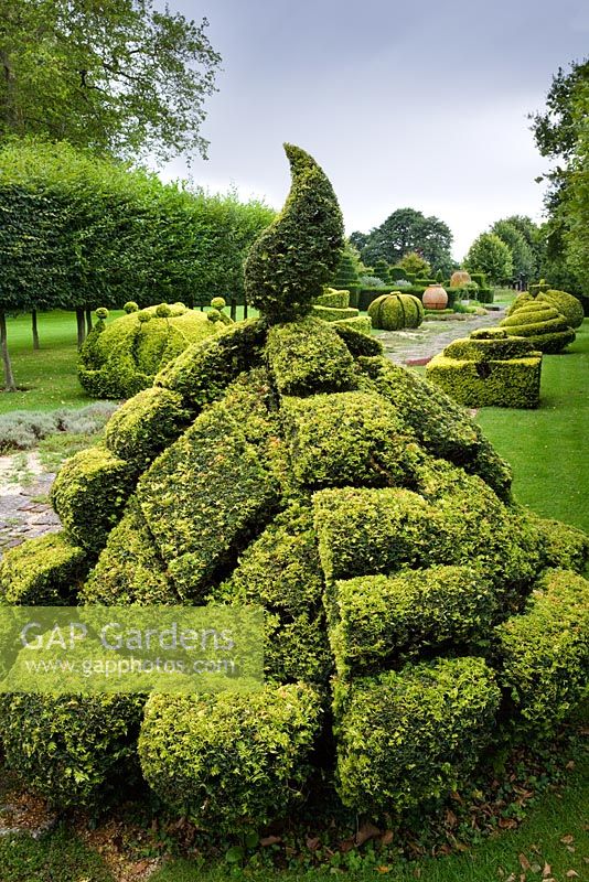 The Thyme Walk with Golden Yew Topiary, Highgrove Garden, August 2007. 