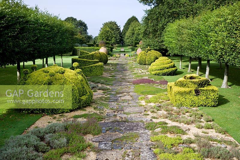 The Thyme Walk with Golden Yew Topiary, Highgrove Garden, August 2007.   