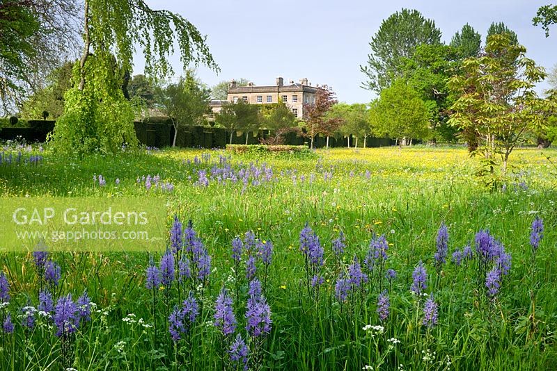 The South Front of Highgrove House from the Wild Flower Meadow.  May 2008. 