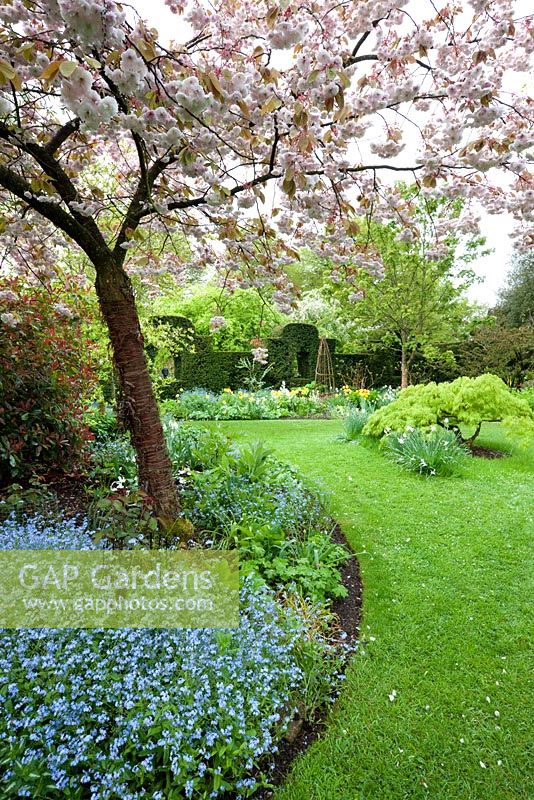 The Cottage Garden with spring blossom and flowers. Highgrove Garden, May 2009. 