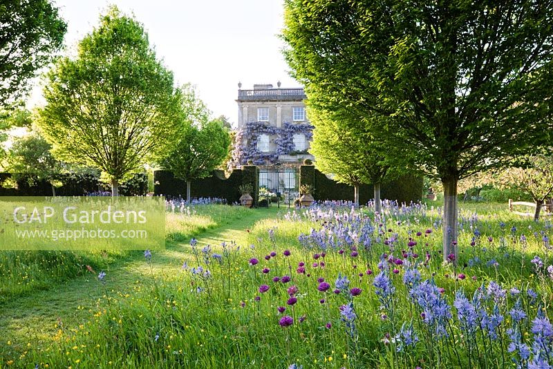 Wild Flower Meadow with spring wild flowers and Highgrove House, May 2009