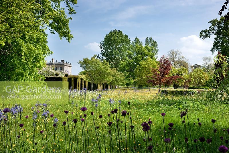 Wild Flower Meadow with Spring blooms and Highgrove House, May 2009