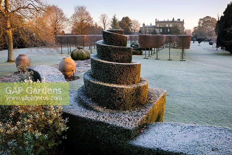 Yew topiary and the House with frost, Highgrove Garden, December 2008. 