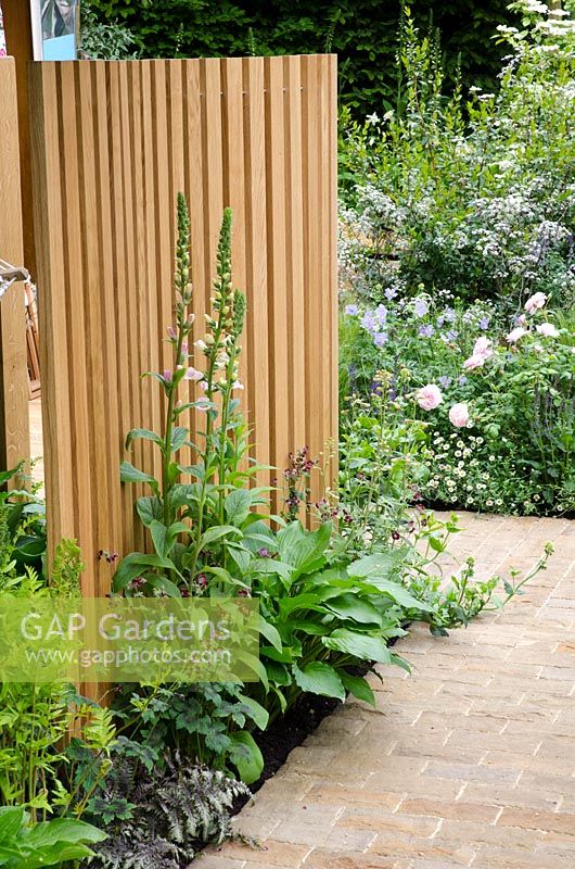 Digitalis and Geranium phaeum planted between brick path and wooden screen - A Celebration of Caravanning, RHS Chelsea Flower Show 2012