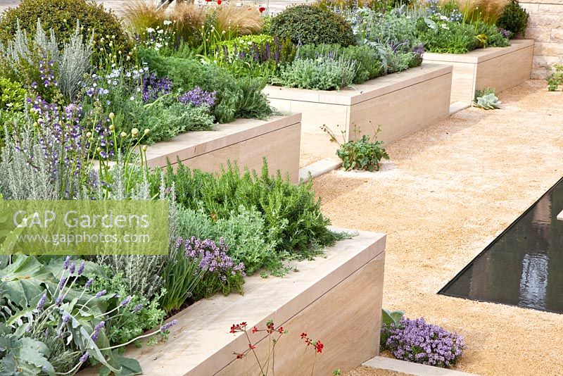 Modern raised beds - mixed planting with Salvia, Rosmarinus, Thymus, Teucrium, Artemisia