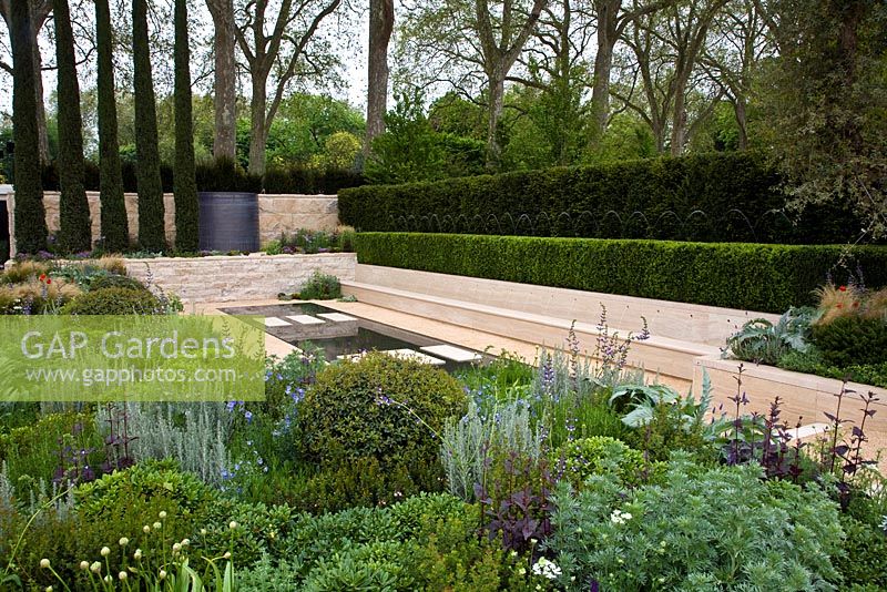 Modern Italian style garden - Mediterranean planting with five cypress trees. Raised beds and gently sloping paths to aid the arthritis sufferer.