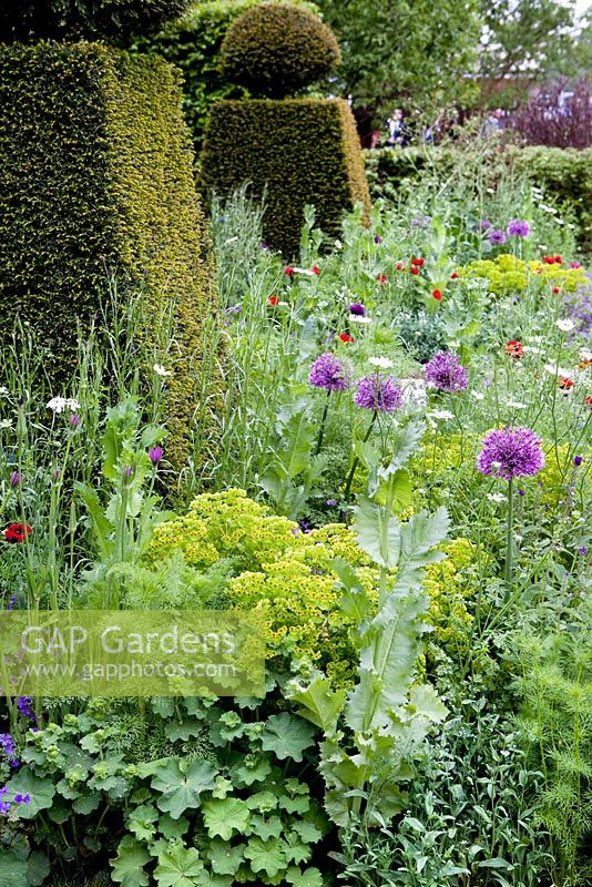 Topiary and summer border 