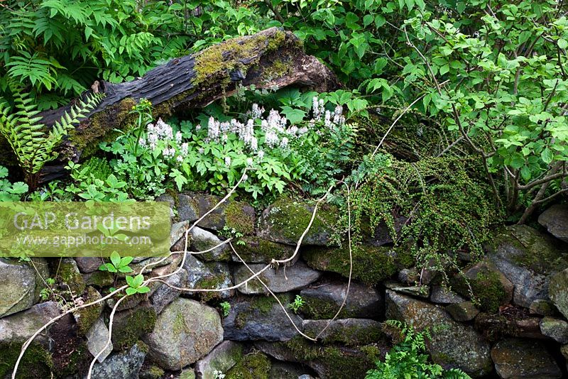 Edge of wild space resembling old well-head, with rotting logs and mossy drystone wall. - DMZ Forbidden Garden, Designer - Jihae Hwang Chelsea 2012