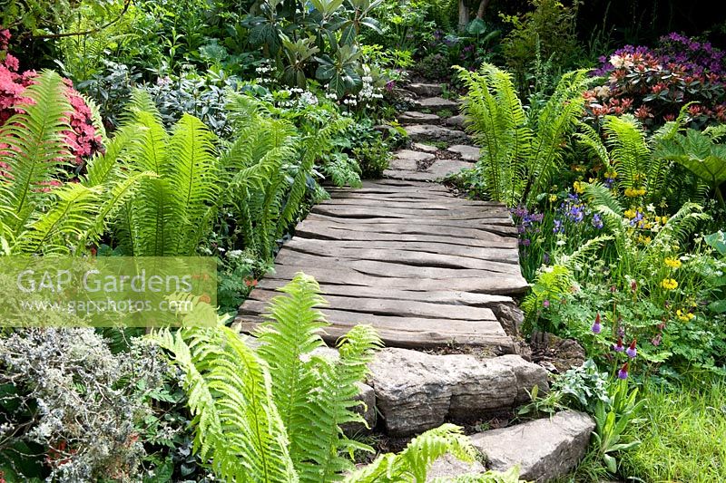 Stone steps and wooden pathway - Furzey Garden, Design - Chris Beardshaw Ltd, Gold Award. Chelsea 2012