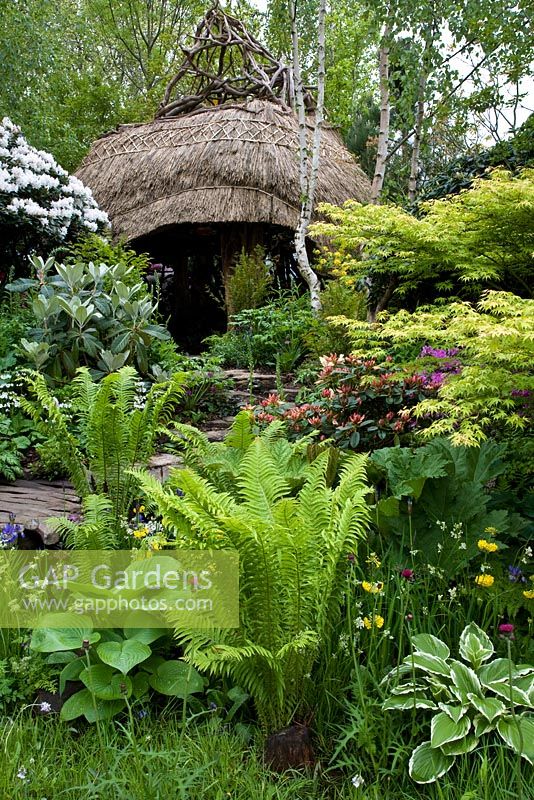 Thatched structure in garden with acid loving plants 
