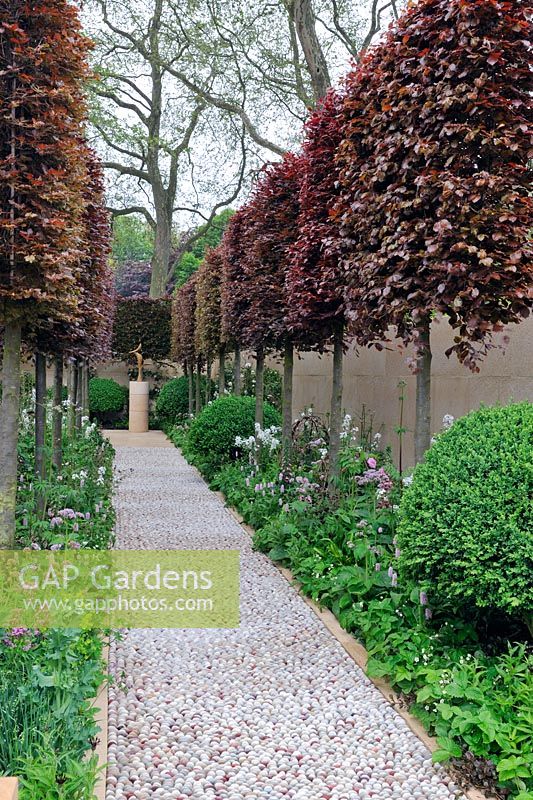 Cobblestone path leading to Bronze Bird sculpture by the late Breon O'Casey with pleached Fagus sylvatica 'Atropunicea' - The Laurent-Perrier Garden
