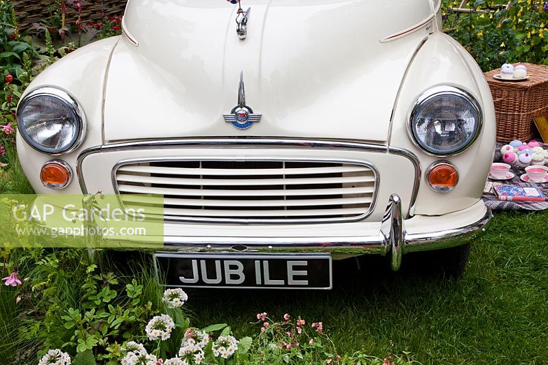 Morris minor car with JUB ILE registration and traditional picnic to one side. Drumstick primulas in foreground.