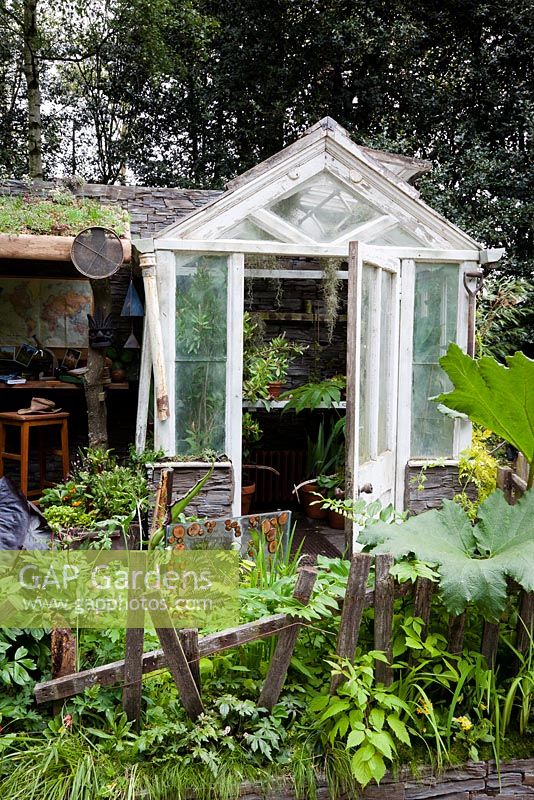 Plant Explorer's Garden. View of old greenhouse with lean-to area with desk underneath and dilapidated fencing in the foreground. 