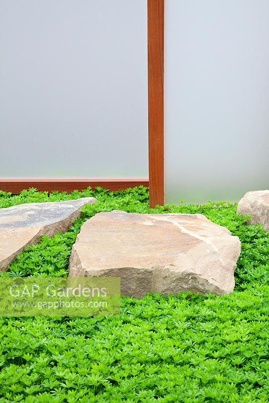 Yorkstone with Galium odoratum planted below acrylic screens in The Rainbows Children's Hospice Garden 