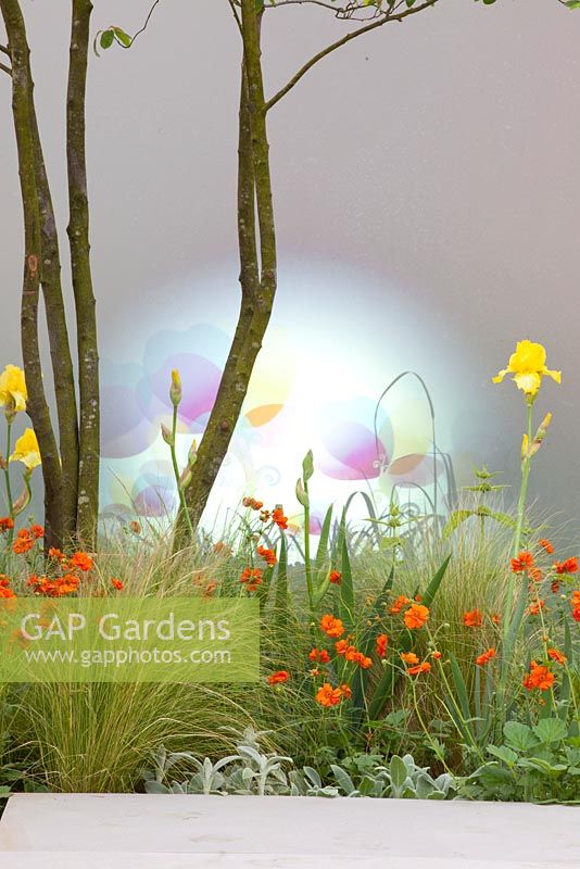 Rainbows Children's Hospice Garden with Geum, Stipa tenuissima and Iris