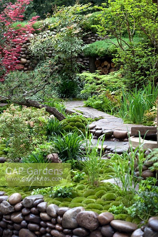 Moss mounds, pachysandra and washed cobbles in a traditional Japanese garden in the Satoyama district, Satoyama Life - Artisan Garden