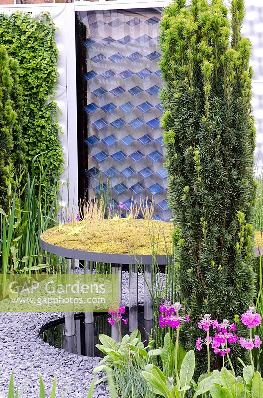 Floating island pond with carniverous plants, Yew pillar and Primulas - The Soft Machine, RHS Chelsea Flower Show 2012