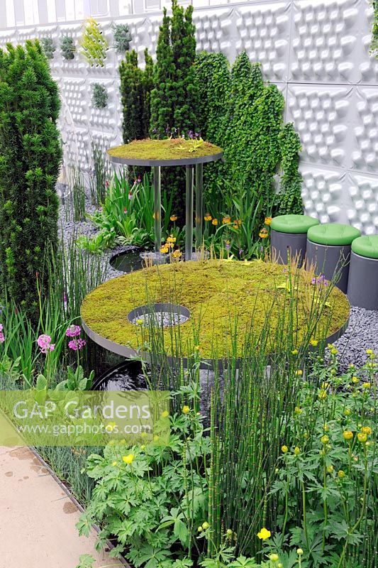Floating islands with acrylic drainage tubes, planted with carnivourous plants, Taxus baccata coloumns along wall in The Soft machine garden - RHS Chelsea flower show 2012