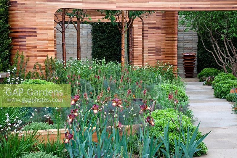 Homebase Teenage Cancer Trust Garden, Gold Medal winner - RHS Chelsea Flower Show 2012 Cedar frames and Yorkshire stone pathway and walls are complemented by soft planting including irises, Verbascum 'Clementine' and Geum x borisii