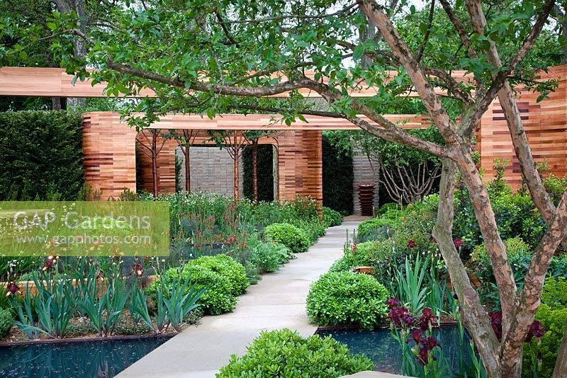 Cedar frames, Yorkshire stone pathway and walls are complemented by soft planting including Iris 'Quechee', Verbascum 'Clementine', Geum x borisii and bronze fennel, Foeniculum vulgare purpureum - Homebase Teenage Cancer Trust Garden, Gold Medal winner - RHS Chelsea Flower Show 2012 