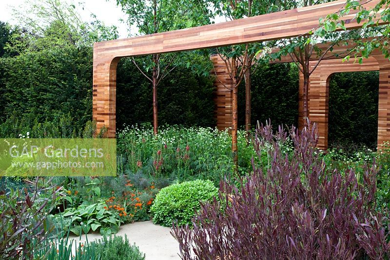 Cedar frames and Yorkshire stone pathway and walls are complemented by soft planting including Verbascum 'Clementine', Geum x borisii, Foeniculum vulgare purpureum and Silene vulgaris in the background next to four Prunus serrula trees - Homebase Teenage Cancer Trust Garden, Gold Medal winner - RHS Chelsea Flower Show 2012 