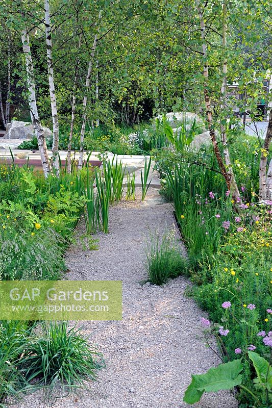 The Telegraph Garden, Gold Medal winner, RHS Chelsea Flower Show 2012 . Crushed limestone path in woodland garden 
 
 