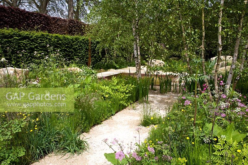 The Telegraph Garden, Gold Medal winner, RHS Chelsea Flower Show 2012. Perennials, rushes, grasses and meadow flowers