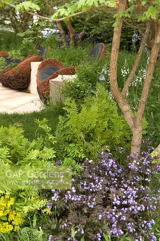 Tranquillity set in Stone. Bronze Medal Winner. Chelsea Flower Show 2012. Birds nest seating set into bed rock of woodland area.