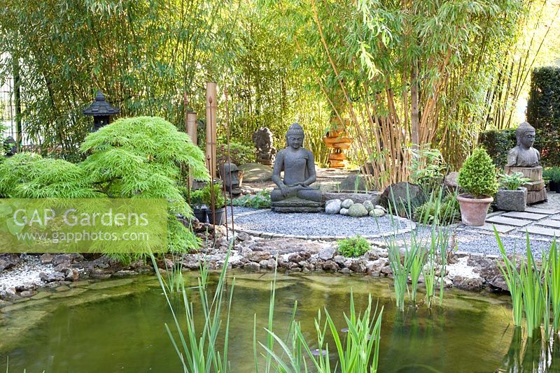 Oriental style garden with Buddha statue, Phyllostachys vivax and Acer palmatum 'Dissectum'