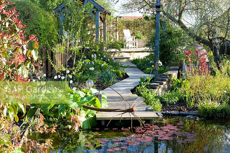 Pond with metal sculpture, decking and path with Narcissus poeticus