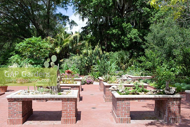 The Enabling Garden's succulent and cacti tables - Leu Gardens in Orlando, Florida