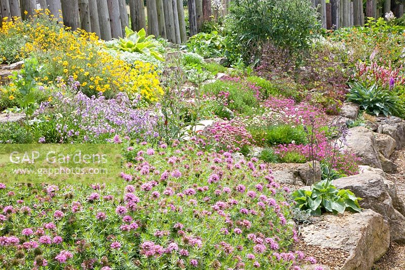 Rockery with Armeria, Dianthus and Phuopsis stylosa