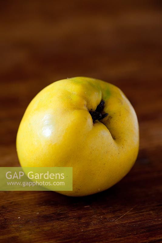 Quince 'Serbian Gold' on wooden table
