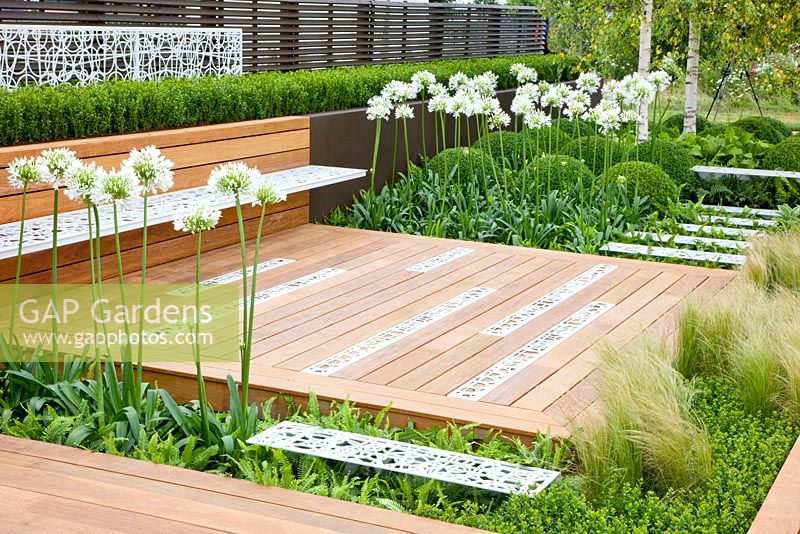 Modern garden with decked area and planting of  Buxus sempervirens, Agapanthus umbellatus Albus and Stipa tenuissima