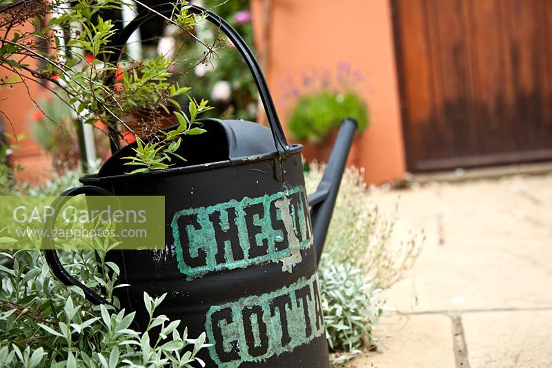 Painted watering can
