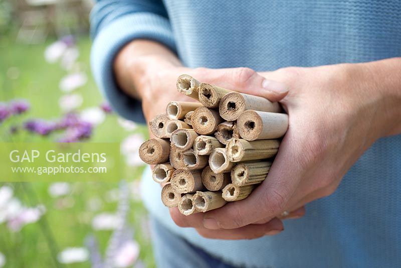 Step by step for creating and suspending an insect habitat - woman holding prepared bamboo canes 