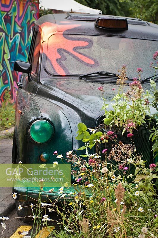 Community garden project - 'A Riot of Colour' - RHS Hampton Court Flower Show 2012 