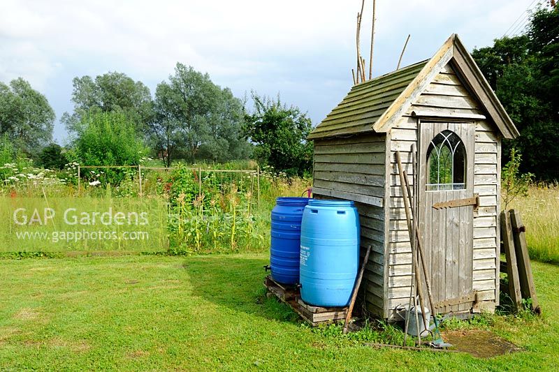 Small wooden garden shed with tools outside and blue plastic water butts