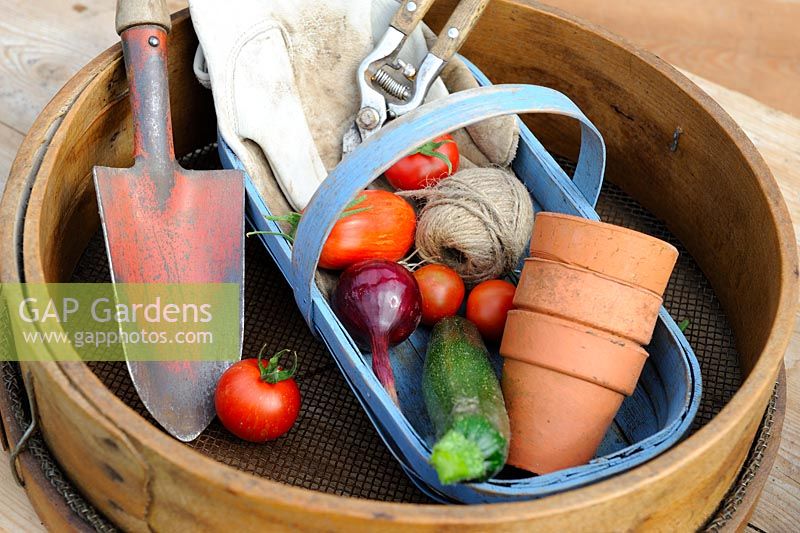 Traditional wooden garden sieve with wooden trug containing small harvest of courgettes, onion and tomatoes