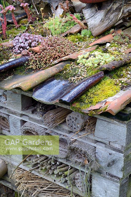 Large bug hotel made from recycled pantiles, old pallets and other recycled items