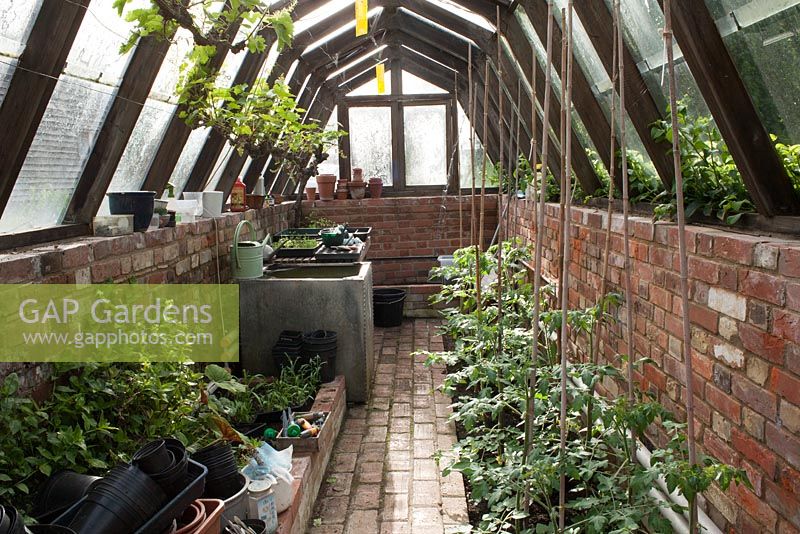 Brick built greenhouse with tomatoes