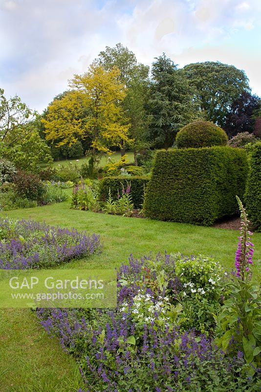 View of the garden across the borders to topiary and hedging.