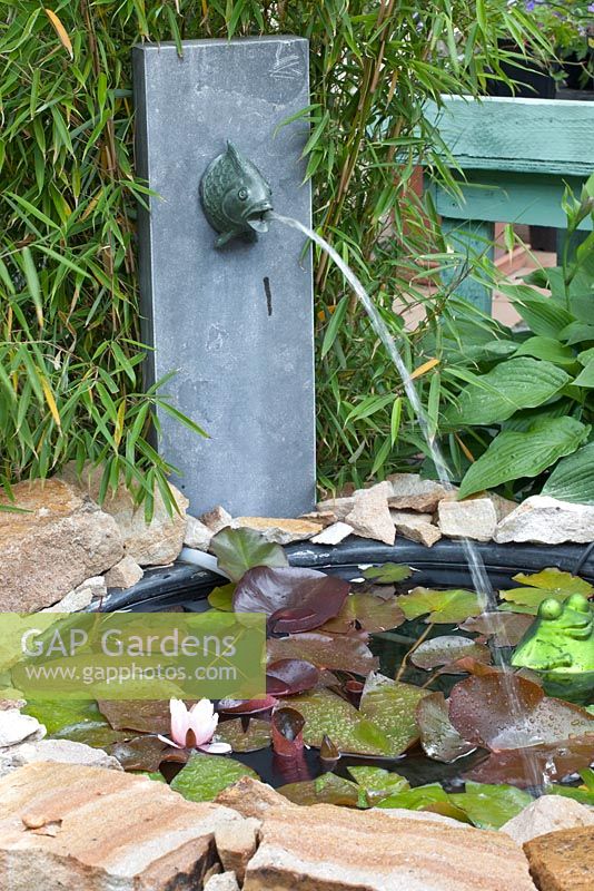 Fish water feature with small ponds