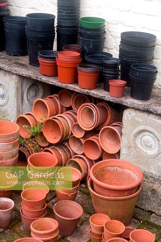 Collection of plastic and terracotta plant pots