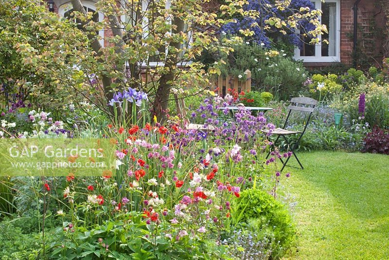 Seating area in cottage garden. Border planting includes Aquilegia and Geum 'Red Wings'