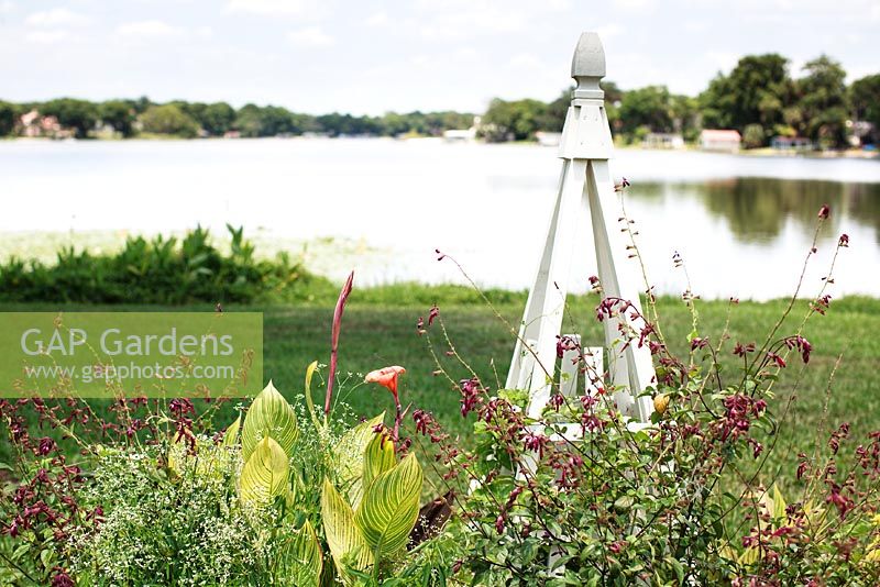 White wooden obelisks with Canna 'Bengal Tiger' - Bengal Tiger Variegated Canna Lily, Euphorbia hybrid 'Diamond Frost' and Salvia splendens 'Van Houttei' on the edge of picturesque Lake Osceola - Albin Polasek Museum 