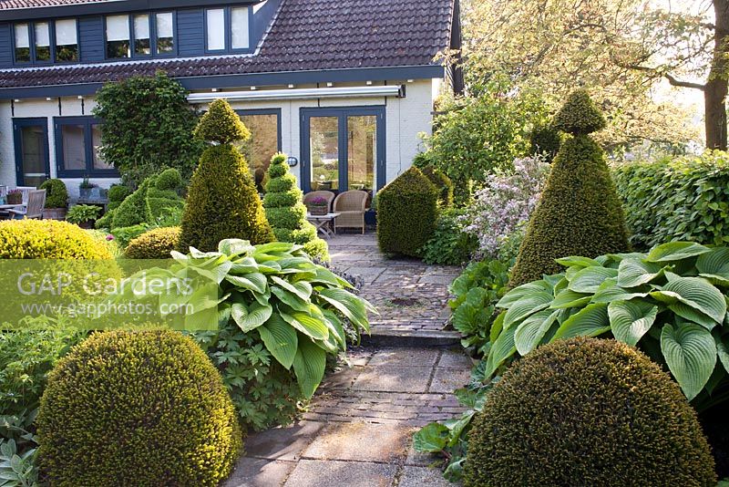 Relaxing area on patio with topiary