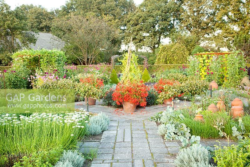 Kitchen garden with begonias in pots