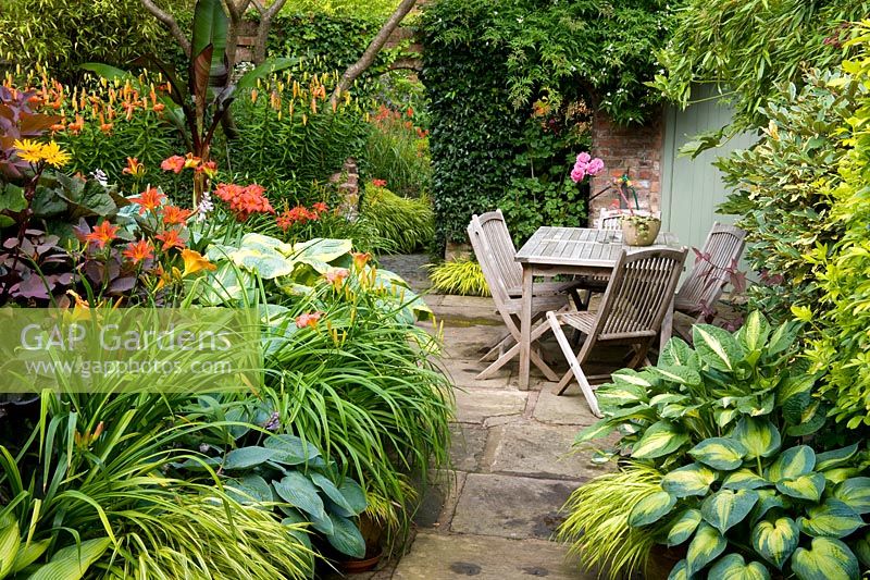 Patio area with potted plants including - (left) variegated cornus, Ligularia 'Britt Marie Crawford', Hosta 'Halcyon', Day Lilies, Cotinus 'Grace', Darmera peltata. (Right) Hostas - 'Captain Kirk' (foreground) and 'Striptease', Hakonechloa. (Rear) Banana and Tiger Lilies Jasmine on rear wall.